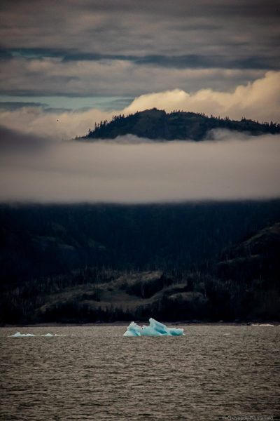 Alaska, Kenai Fjords, 2023