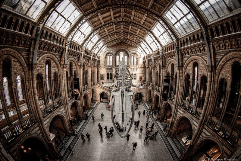 Londra, National History Museum, 2022