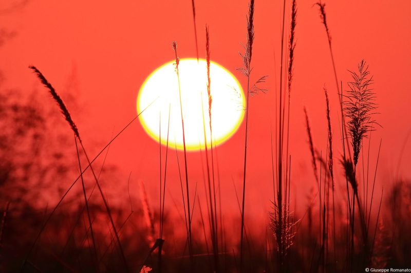 Botswana, Sunrise, 2016